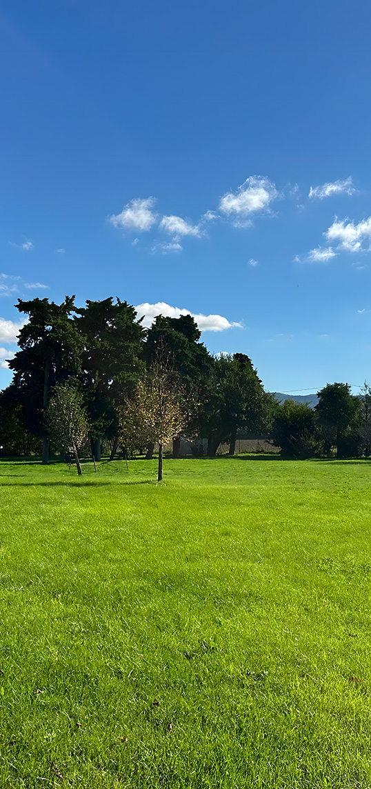 Ventes immobilières de terrains en Drôme, Ardèche Vaucluse et Gard